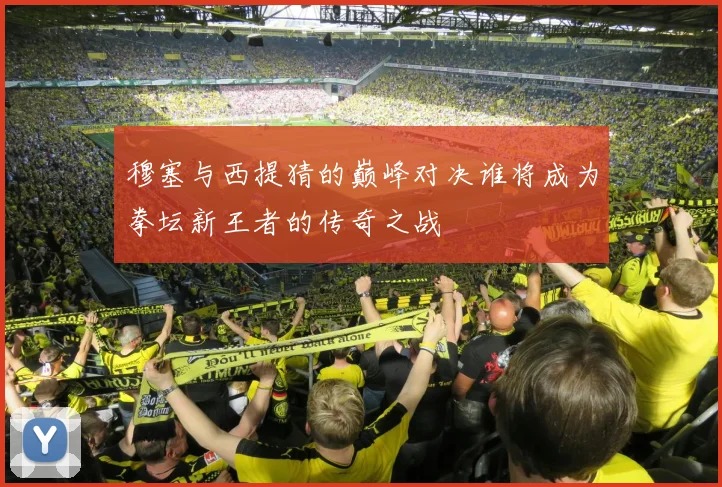 穆塞与西提猜的巅峰对决谁将成为拳坛新王者的传奇之战