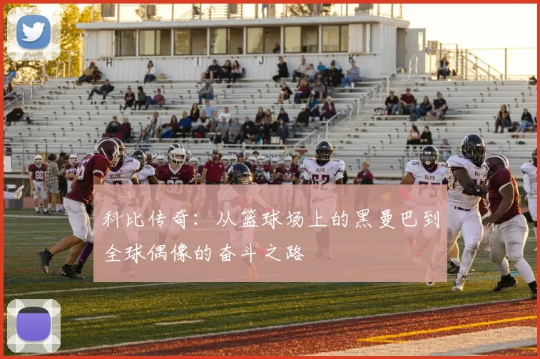 科比传奇：从篮球场上的黑曼巴到全球偶像的奋斗之路